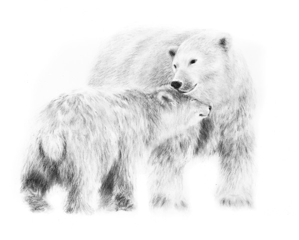 POLAR BEAR AND CUB by Sarah Jaynes