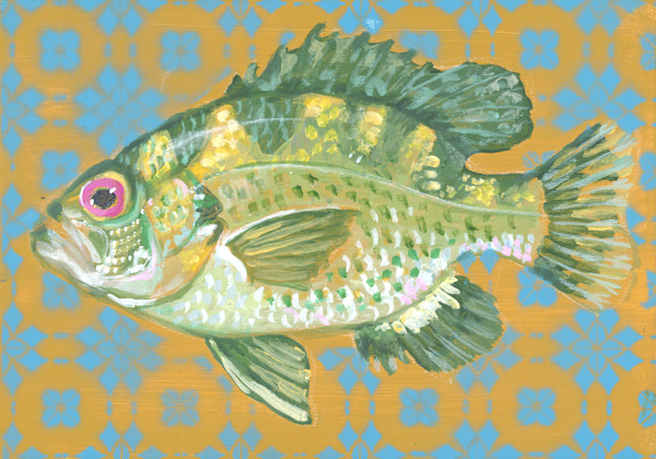 ROCK BASS by Sarah Jaynes