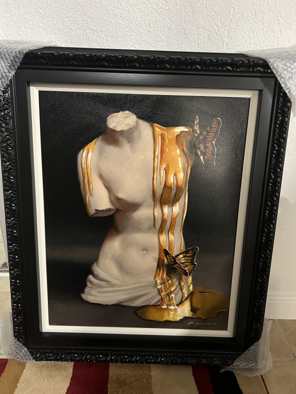 The Jealousy of Venusx in Gold by Donovan Fitzgerald