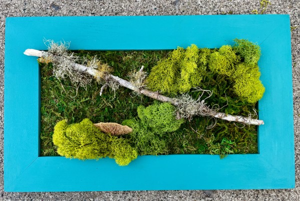 Arkansas Lichen by Sherri Schultz
