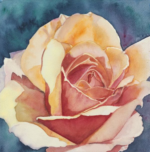 Summer Rose by Tia Sunshine Dye
