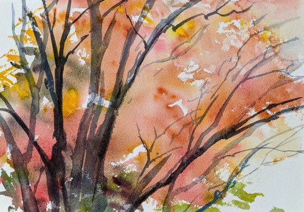 Orange Fall Tree by Lisa McManus