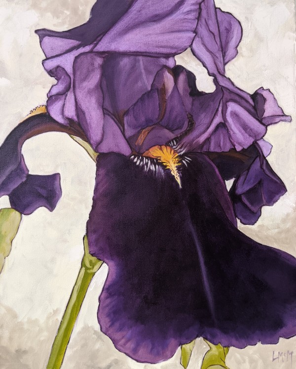 Deb's Iris by Lisa McManus, Image 1.
