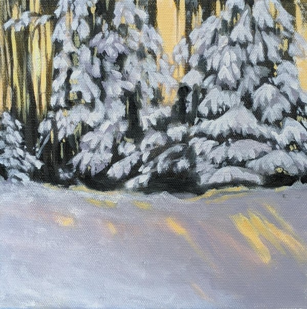 Yellow Sun on Snow by Lisa McManus