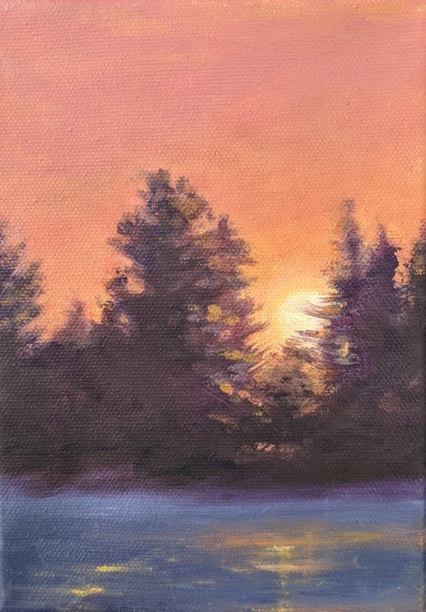 Sunset through the Winter Firs by Lisa McManus