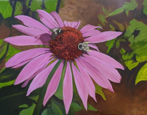 Sweet Echinacea by Lisa McManus