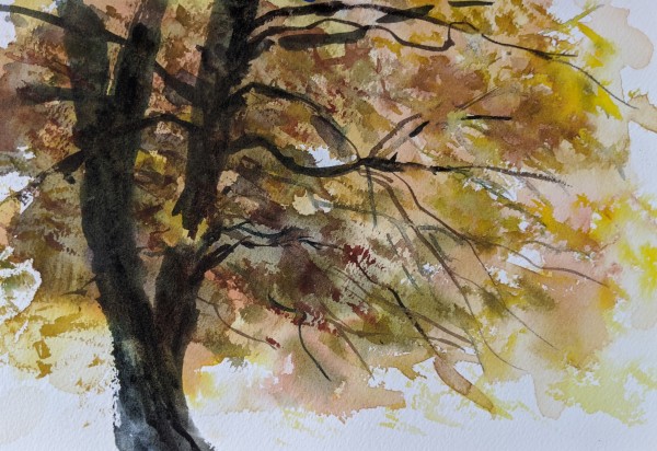 Yellow Fall Tree by Lisa McManus