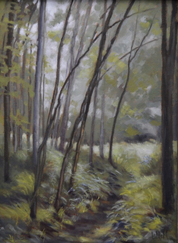 Misty Trail by Lisa McManus
