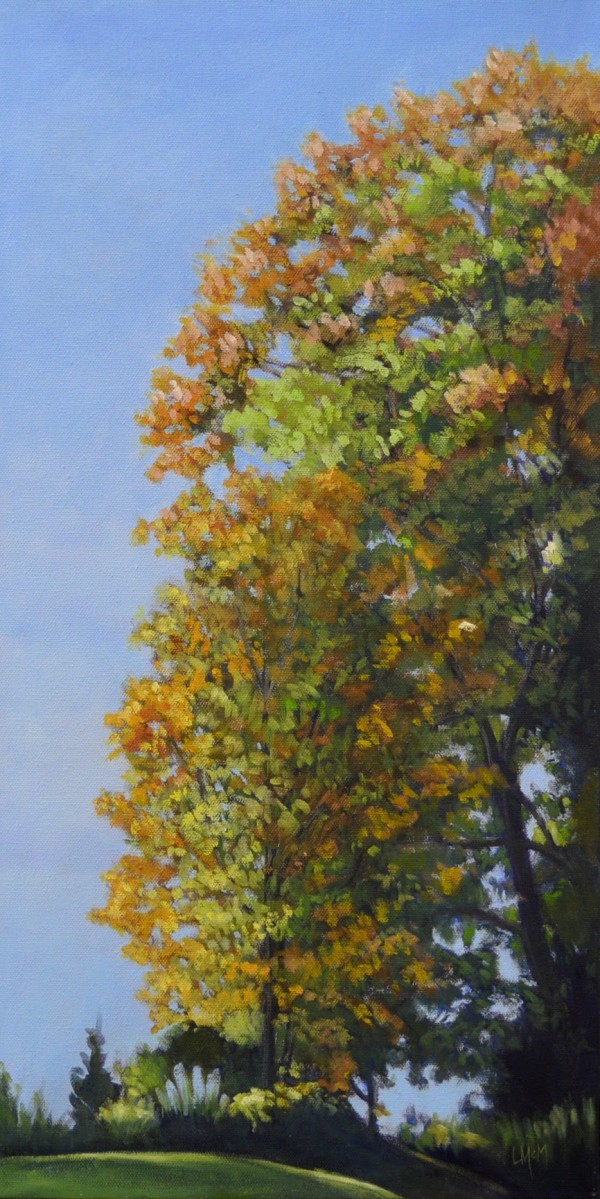 Bright Fall Trees by Lisa McManus