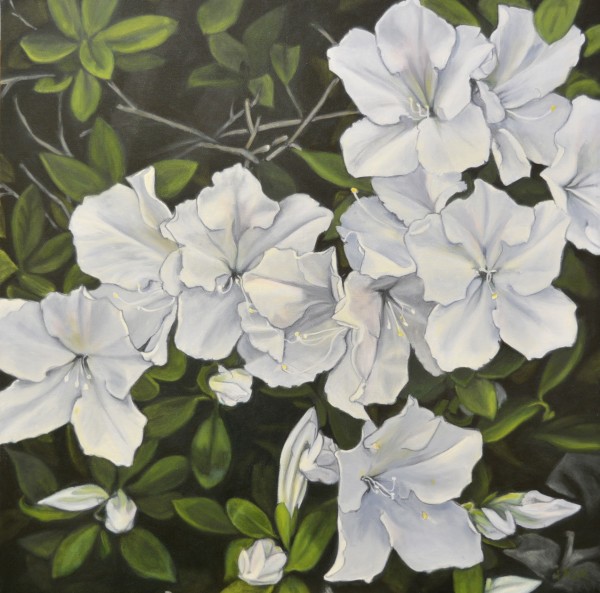 White Rhododendrons by Lisa McManus
