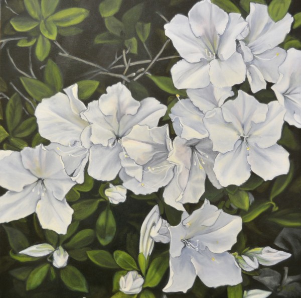 White Rhododendrons by Lisa McManus, Image 1.