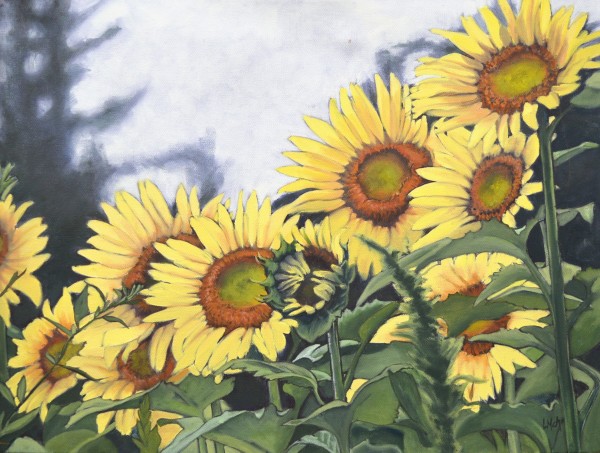 Sunflower Farm by Lisa McManus