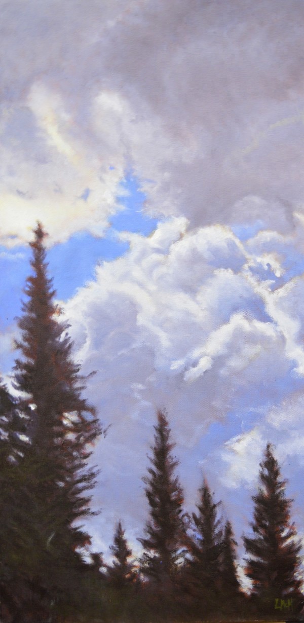 Pines and Clouds by Lisa McManus