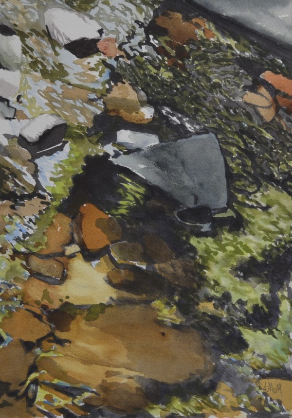 Rocks in the River by Lisa McManus