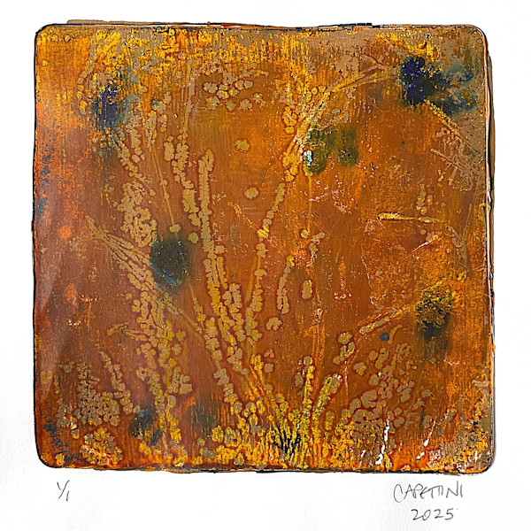prairie abstract ii by Maggie Capettini