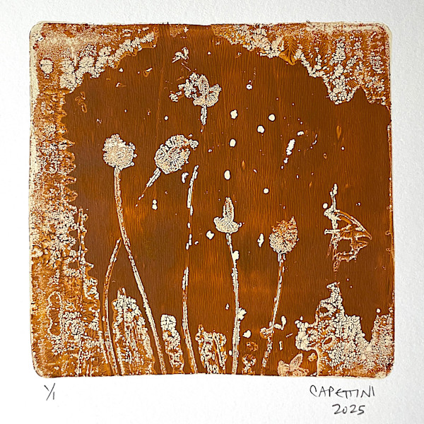 seed heads by Maggie Capettini