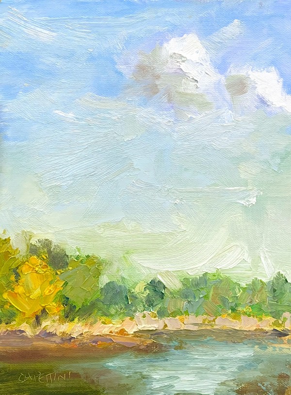 Autumn Sky Over Meadow Lake by Maggie Capettini