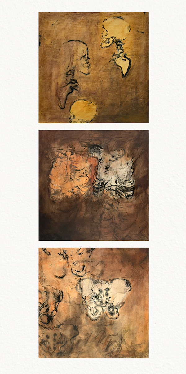 preoccupation: cervical spine, ribs, pelvis by Maggie Capettini