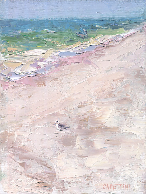 Gull and Pelican by Maggie Capettini, Image 9.