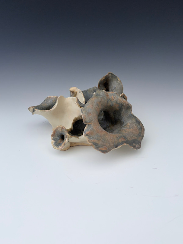 trumpet cup-esque (lichen) by Maggie Capettini