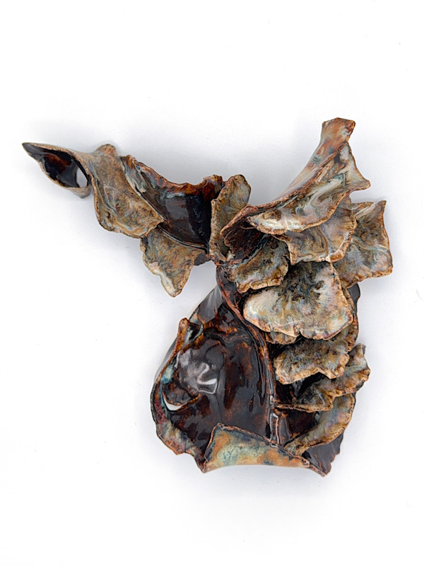 polypore-esque: bark wing by Maggie Capettini, Image 1.