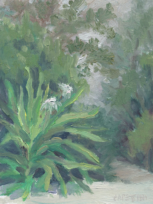 Jungle Morning by Maggie Capettini, Image 11.