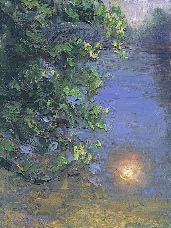Mangrove Morning by Maggie Capettini, Image 4.