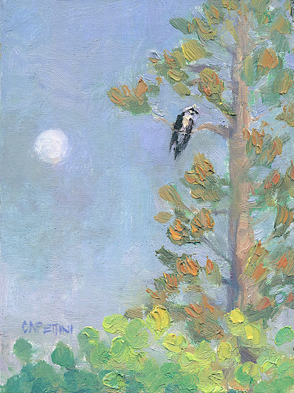 Osprey at Moonrise by Maggie Capettini, Image 7.