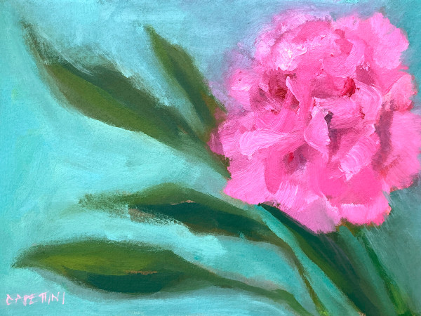 Pink Carnation by Maggie Capettini