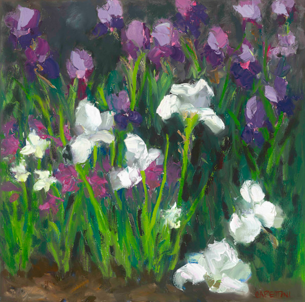 Dazzle of Iris by Maggie Capettini, Image 3.