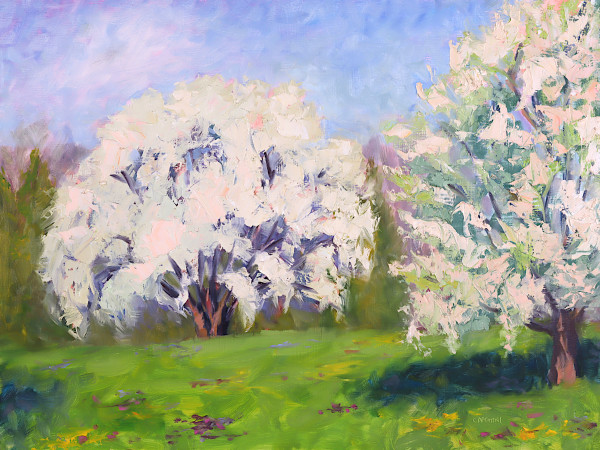 Flowering Pears by Maggie Capettini