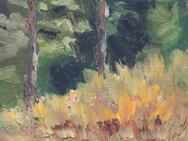 Grasses and Shadows by Maggie Capettini