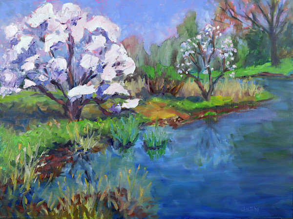Magnolia by the Japanese Slough by Maggie Capettini
