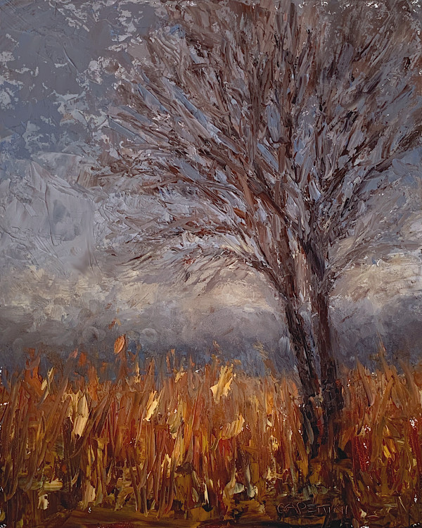 Schulenberg Prairie, November by Maggie Capettini
