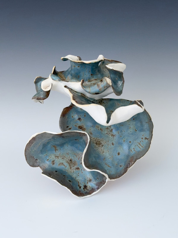 turkey tail-esque: cascade by Maggie Capettini