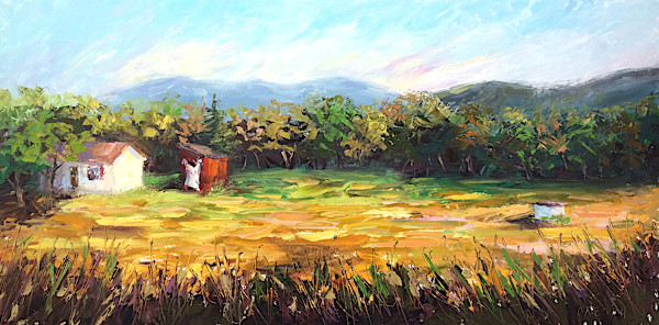 Vermont Summer by Maggie Capettini, Image 1.