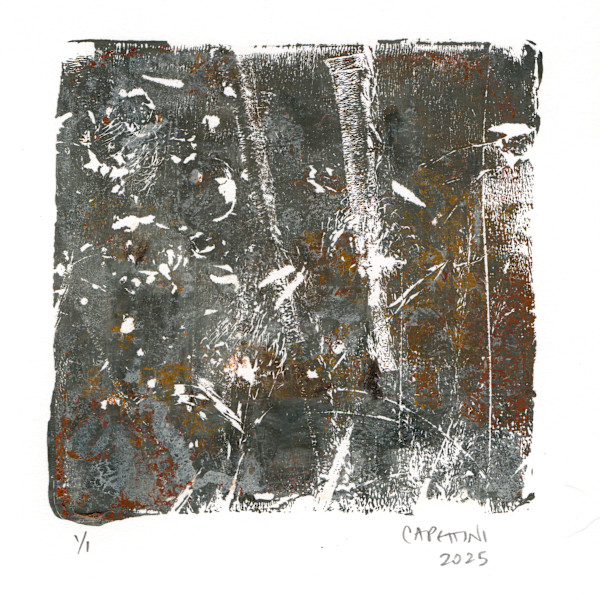 winter wood by Maggie Capettini