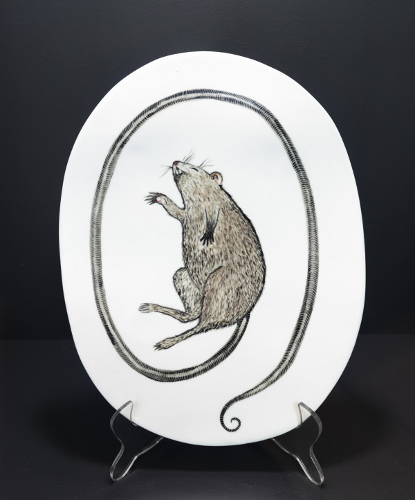 Rattus rattus II by Deborah Kelly, Carlos Gomes, Image 2.