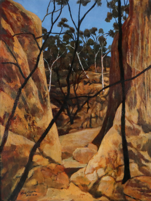 Eroded gully by Ray Austin Crooke