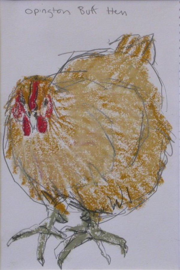 Orpington Buff Hen by Lucy Culliton, Image 1.