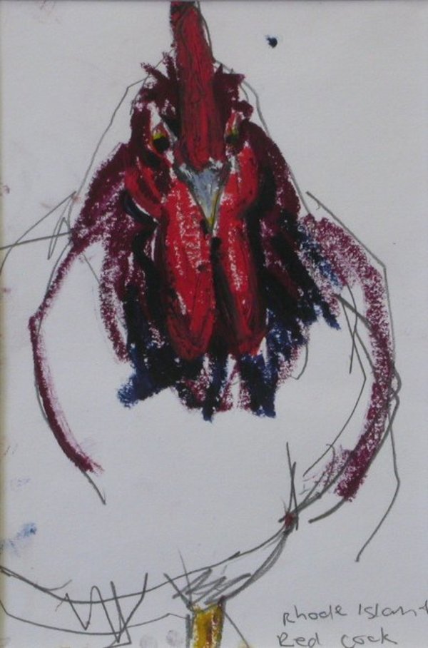 Rhode Island red cock by Lucy Culliton, Image 1.