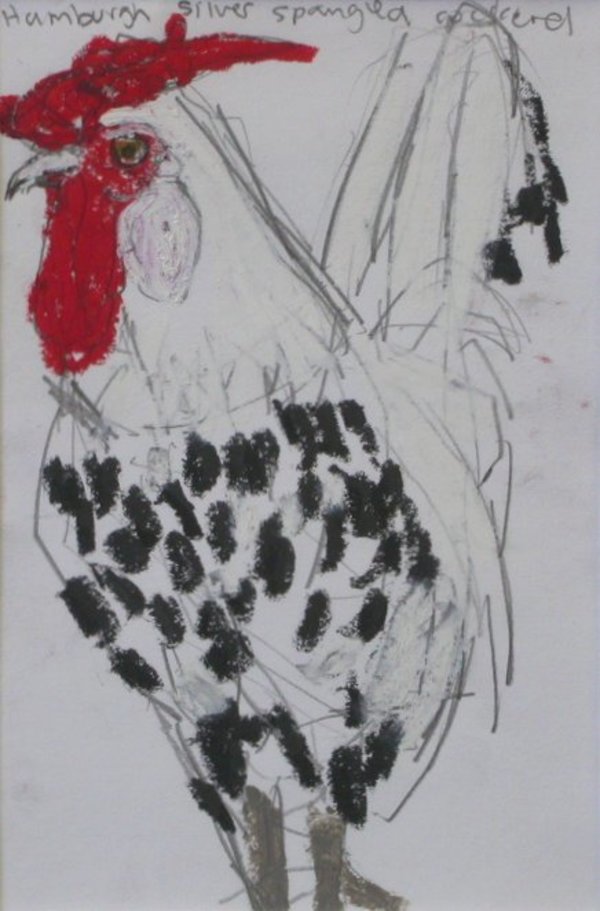 Hamburg silver spangled cockeral by Lucy Culliton, Image 1.