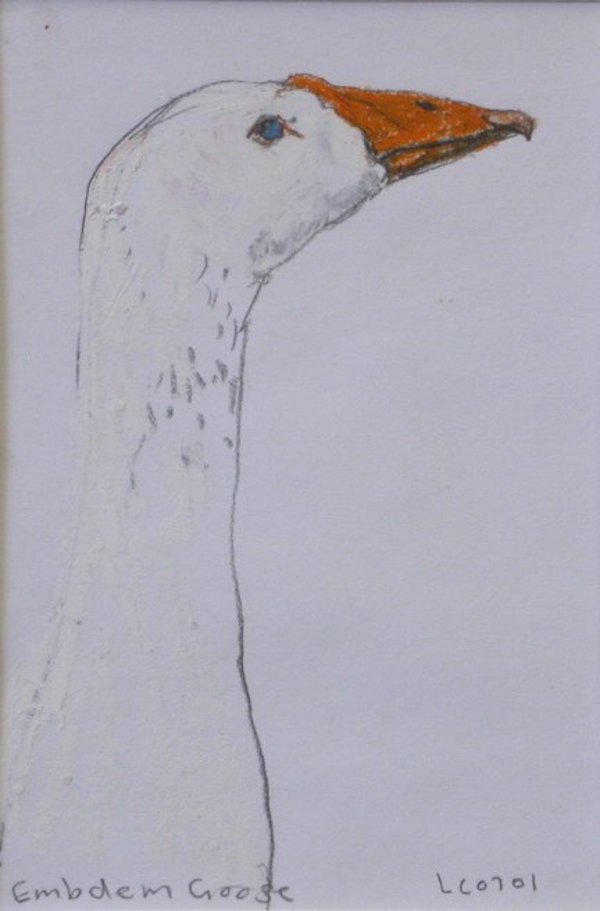 Embden goose by Lucy Culliton, Image 1.