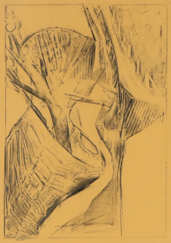Eroded gully (with stream) by Merrick Fry
