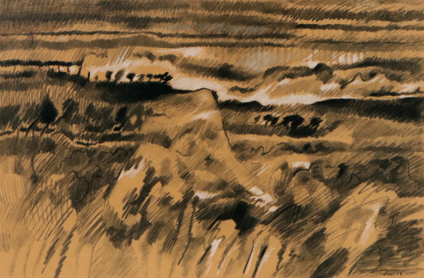 Tuena hills by Merrick Fry