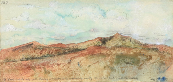 White cliffs to Innamincka No 5 by Mandy Martin