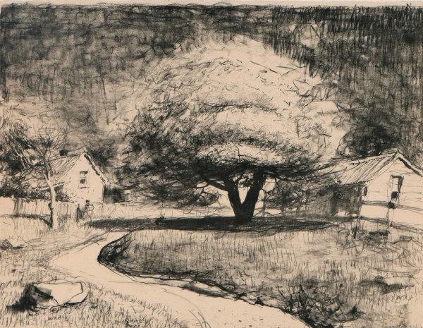 Caloola Tree by Lloyd Rees