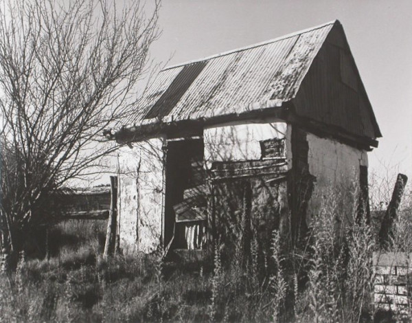 wattle and daub Dairy Building, Evans Plains by Frederick Smith