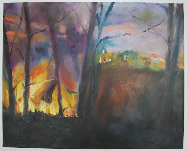 Burn Off at Sally's Flat by Rosemary Valadon