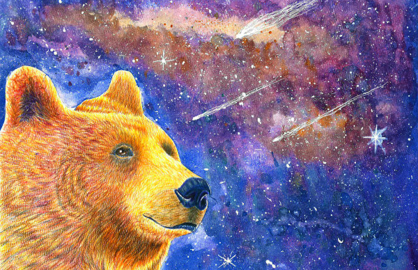 Bear Night by Reggie Griffin